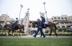 Horse racing at Del Mar